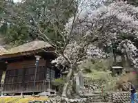 日向見薬師堂(群馬県)