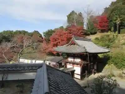 岡寺(龍蓋寺)(奈良県)