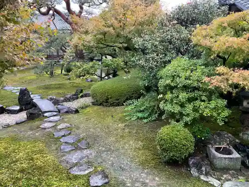 妙顯寺（妙顕寺）(京都府)
