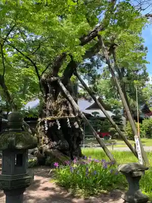 蠶養國神社(福島県)
