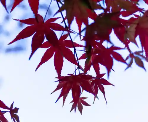 諏訪大社下社秋宮(長野県)