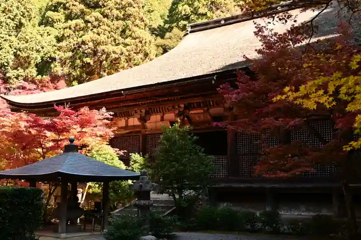 金剛輪寺(滋賀県)