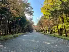 北海道神宮の建物その他