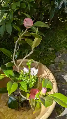 宝蔵寺(京都府)