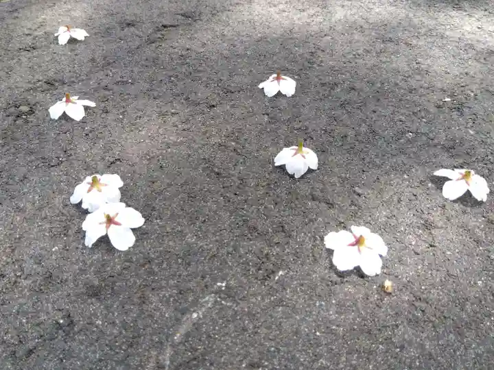 春日神社(福井県)