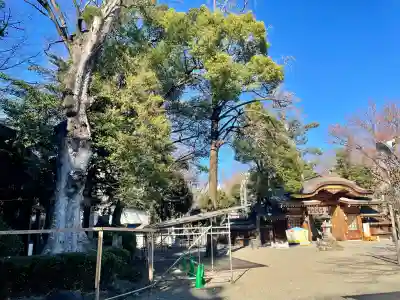 大國魂神社(東京都)