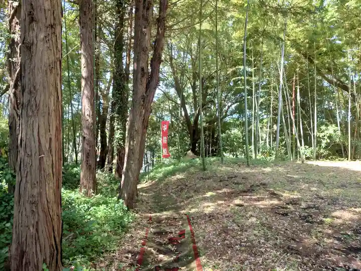 中将姫(神奈川県)