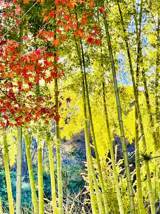 円覚寺(神奈川県)