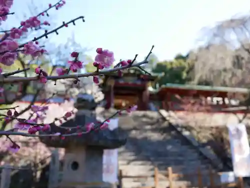 久能山東照宮の自然