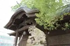 阿邪訶根神社の狛犬