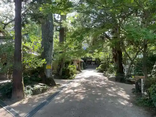 浄瑠璃寺(愛媛県)