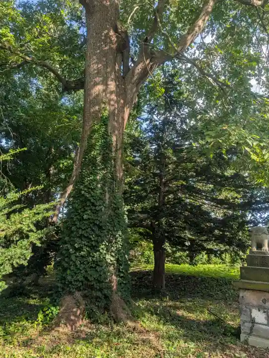 角田神社(北海道)