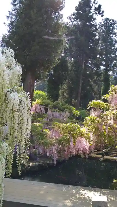歌泉堂(春日大社神苑萬葉植物園内鎮座)(奈良県)