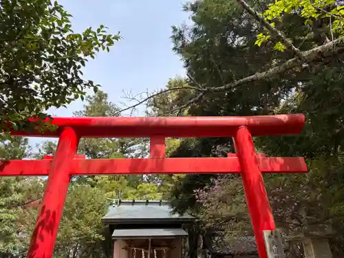 丸山稲荷神社奥社の鳥居