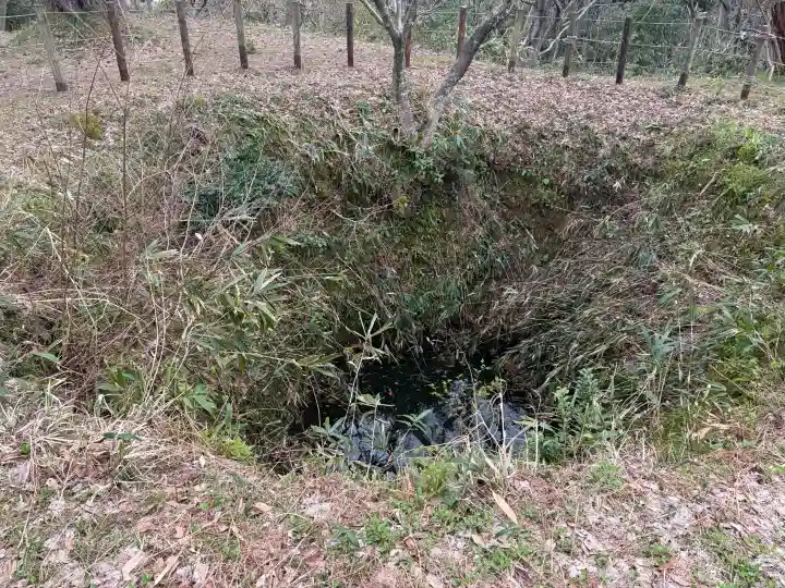 春日山神社の{uncategorized: "未分類", other: "その他", undefined: "問題あり", building: "その他建物", grave: "お墓", sacred_gate: "鳥居", guardian: "狛犬", statue: "像", buddha: "仏像", history: "歴史", nature: "自然", garden: "庭園", animal: "動物", pagoda: "塔", temizu: "手水舎", mountain_gate: "山門・神門", sanctuary: "本殿・本堂", subordinate: "末社・摂社", art: "芸術", scenery: "景色", jizo: "地蔵", ema: "絵馬", goshuin: "御朱印", omikuji: "おみくじ", items: "授与品その他", amulet: "お守り", goshuincho: "御朱印帳", eats: "食事", festival: "お祭り", votive_dance: "神楽", shichigosan: "七五三参", wedding: "結婚式", experience: "体験その他", initially: "初詣", around: "周辺", anti_infection: "感染症対策"}