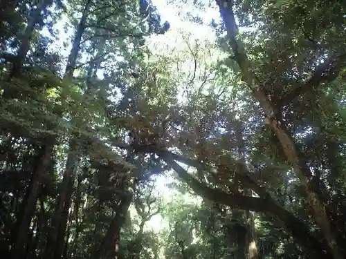 鹿島神宮の自然