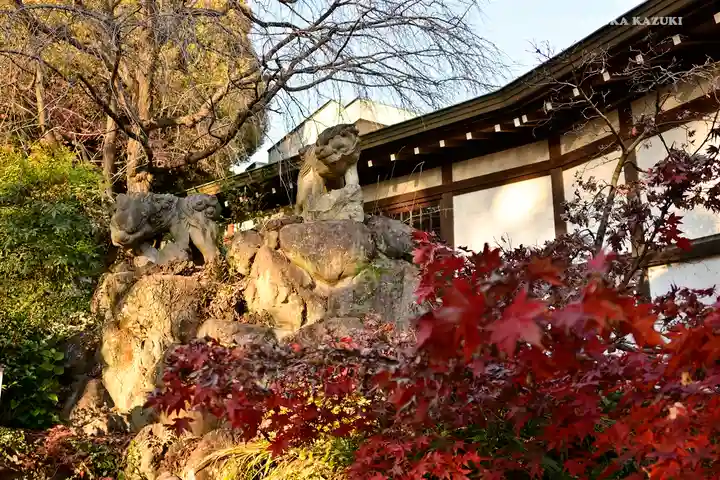 玉川神社の狛犬