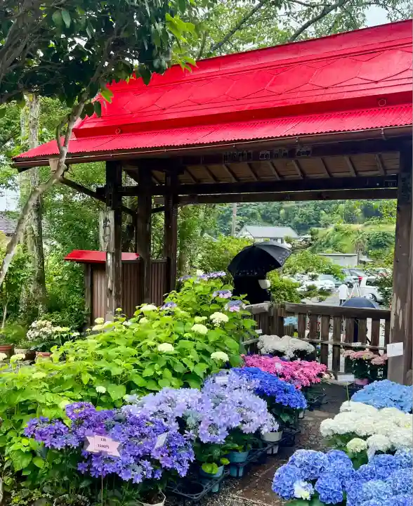 極楽寺(静岡県)