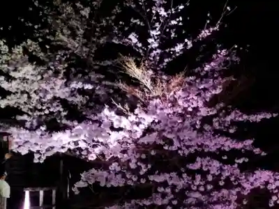 知恩院(京都府)