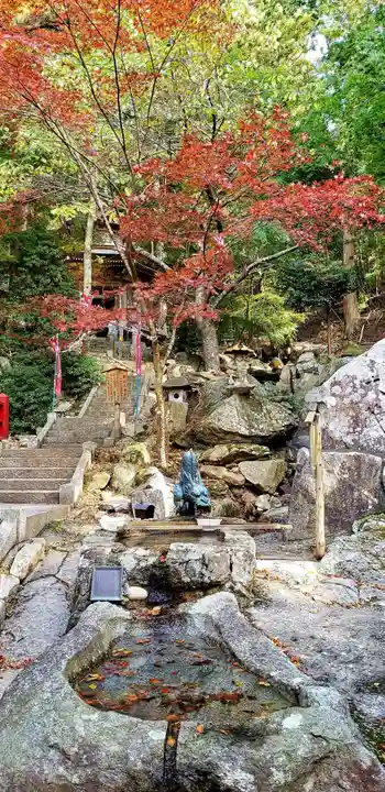 金華山黄金山神社の手水舎