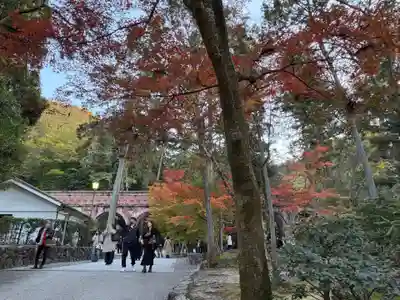 南禅寺(京都府)