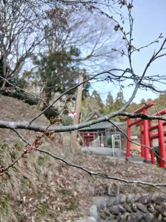 白狐山光星寺(山形県)