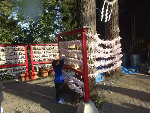 多摩川浅間神社のおみくじ