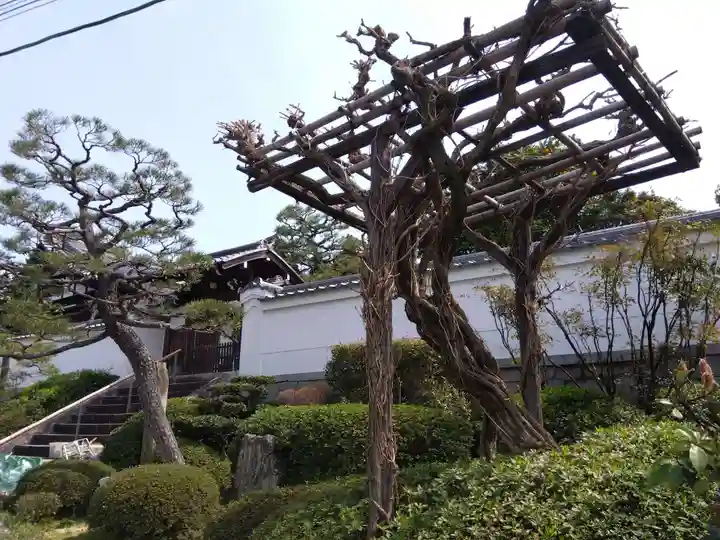 常光院(京都府)