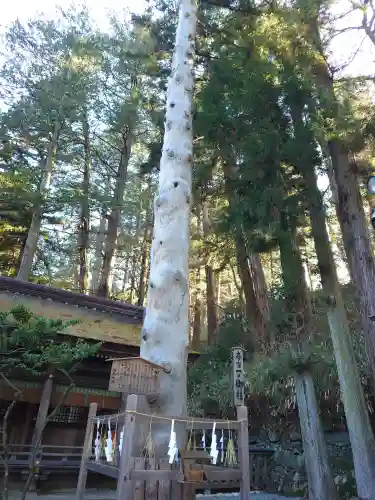 諏訪大社下社春宮(長野県)