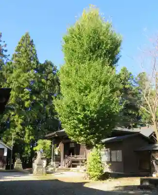 塩竈神社(栃木県)