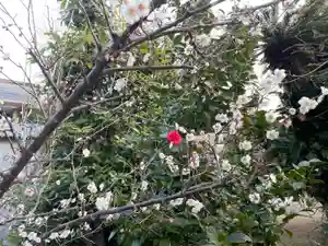 伊勢の国 四天王寺(三重県)(2023年02月08日(水) 12時04分15秒投稿)