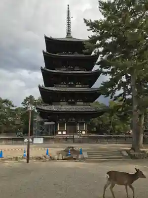 興福寺 南円堂のその他建物