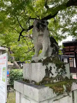 松尾大社(京都府)