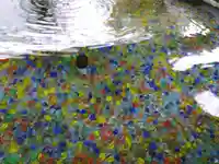 福井県護国神社(福井県)