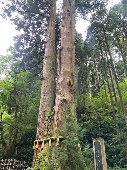 御岩神社(茨城県)