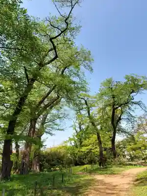 神炊館神社 ⁂奥州須賀川総鎮守⁂(福島県)