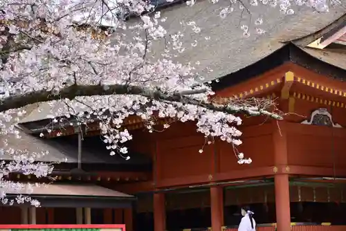 富士山本宮浅間大社(静岡県)