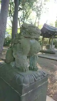 熊野神社の狛犬