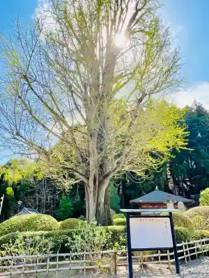 江畔寺の{uncategorized: "未分類", other: "その他", undefined: "問題あり", building: "その他建物", grave: "お墓", sacred_gate: "鳥居", guardian: "狛犬", statue: "像", buddha: "仏像", history: "歴史", nature: "自然", garden: "庭園", animal: "動物", pagoda: "塔", temizu: "手水舎", mountain_gate: "山門・神門", sanctuary: "本殿・本堂", subordinate: "末社・摂社", art: "芸術", scenery: "景色", jizo: "地蔵", ema: "絵馬", goshuin: "御朱印", omikuji: "おみくじ", items: "授与品その他", amulet: "お守り", goshuincho: "御朱印帳", eats: "食事", festival: "お祭り", votive_dance: "神楽", shichigosan: "七五三参", wedding: "結婚式", experience: "体験その他", initially: "初詣", around: "周辺", anti_infection: "感染症対策"}