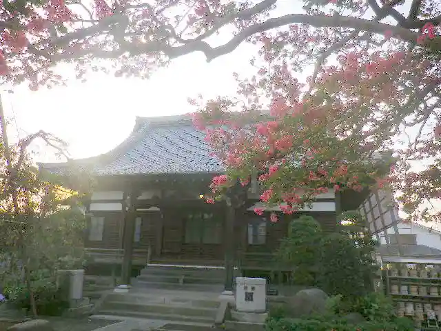 本興寺の本殿・本堂