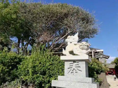 青島神社（青島神宮）の狛犬