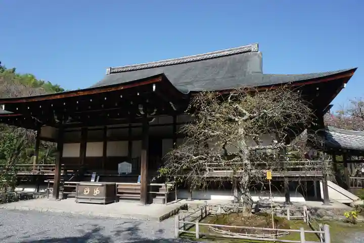 天龍寺の本殿・本堂