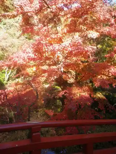 鶴岡八幡宮の自然