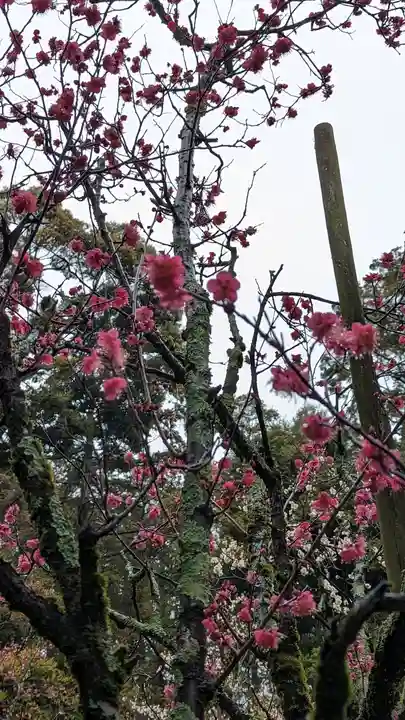 長岡天満宮(京都府)