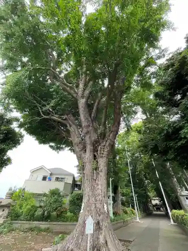 五社神社(神奈川県)