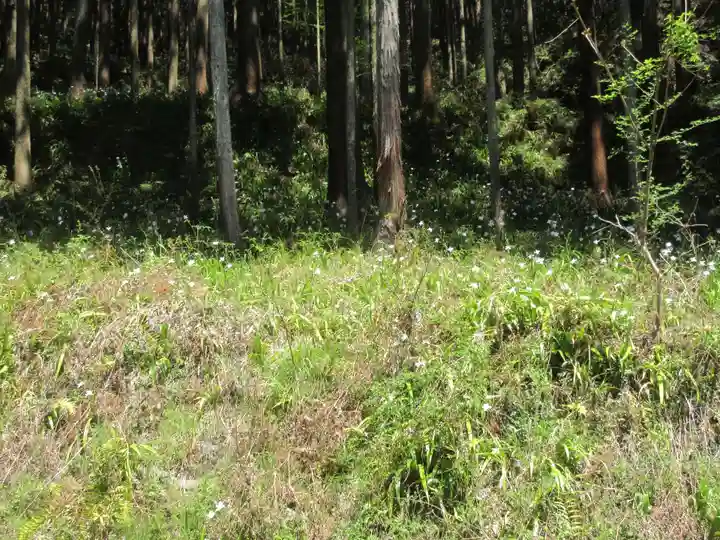 龍穏寺(埼玉県)