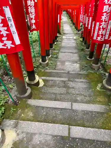 佐助稲荷神社の鳥居