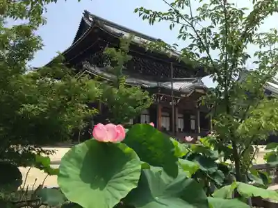 本山専修寺(三重県)