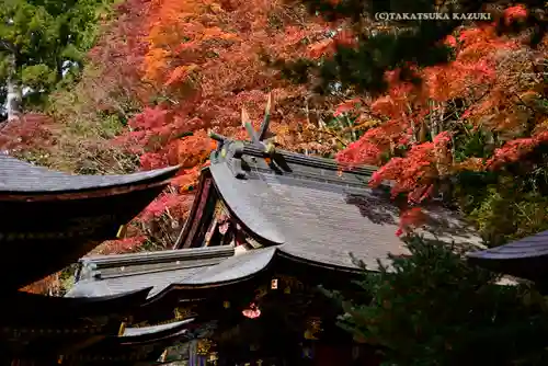三峯神社(埼玉県)