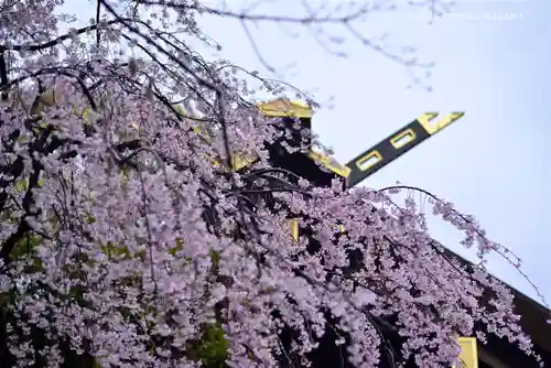 伊勢山皇大神宮の自然